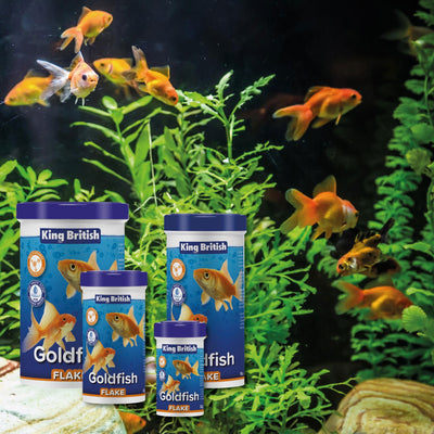 King British Natural Goldfish Flake (with IHB) 28g